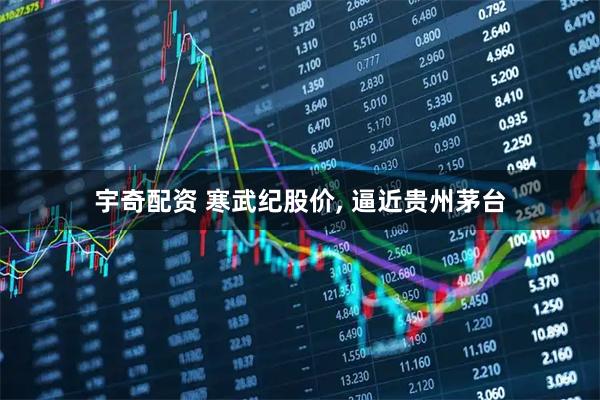 宇奇配资 寒武纪股价, 逼近贵州茅台